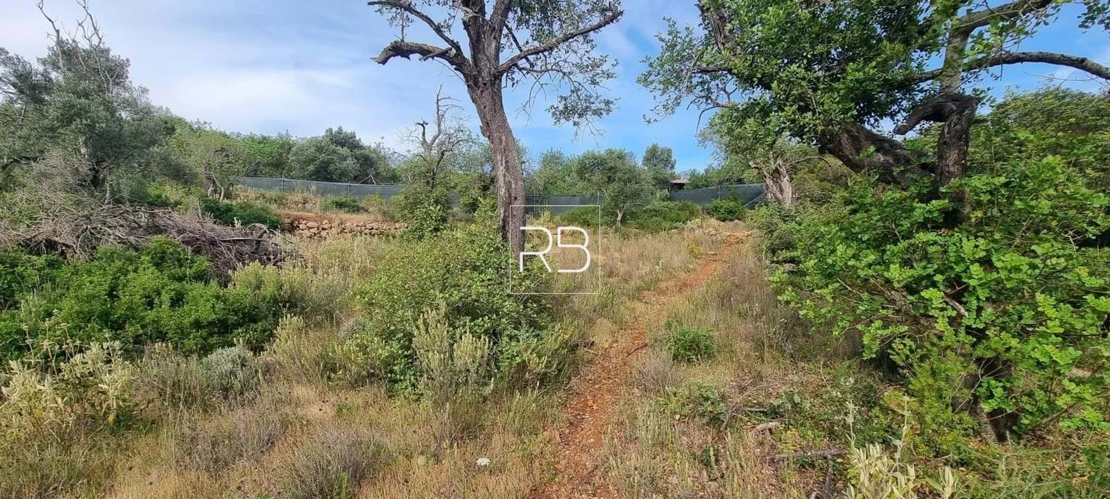 Terreno para Venda em Loule (São Sebastião) Foto 11