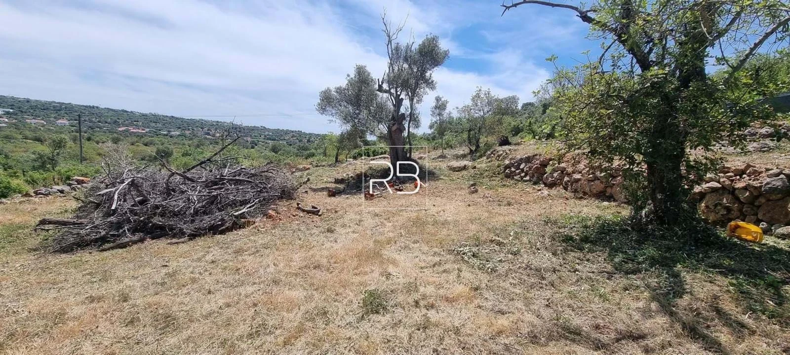 Terreno para Venda em Loule (São Sebastião) Foto 17