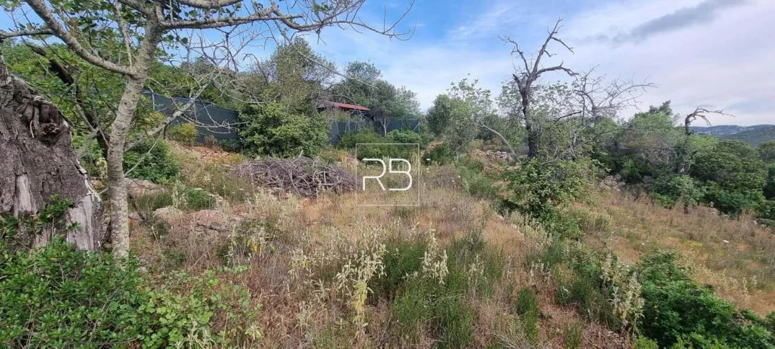 Terreno para Venda em Loule (São Sebastião) Foto 6