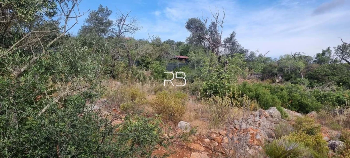 Terreno para Venda em Loule (São Sebastião) Foto 2
