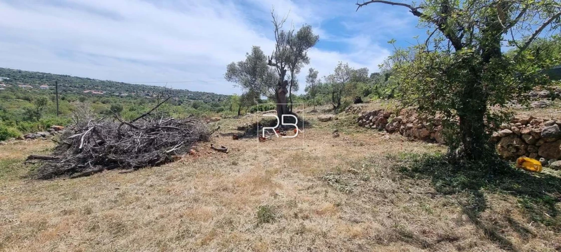 Terreno para Venda em Loule (São Sebastião) Foto 17