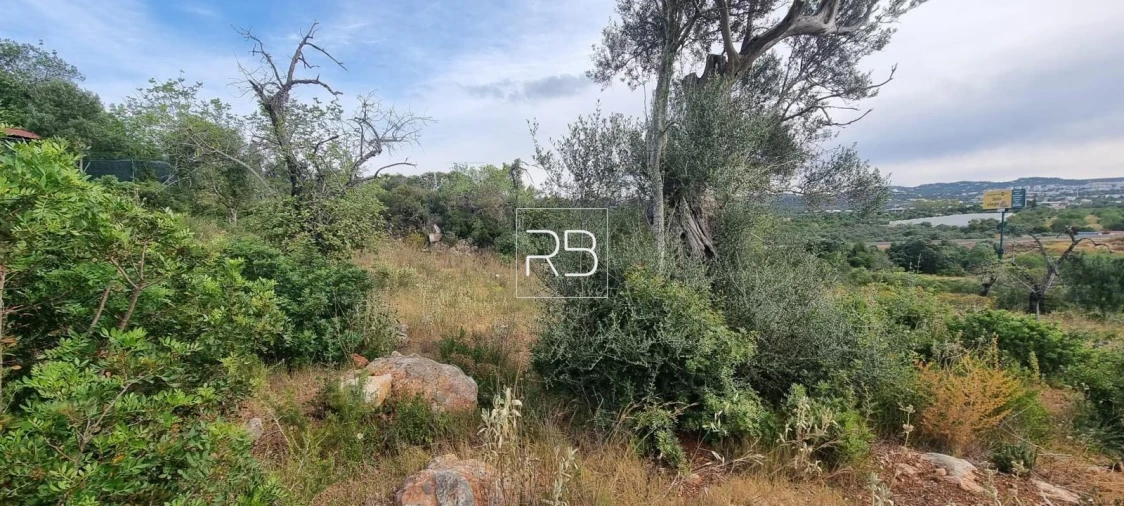 Terreno para Venda em Loule (São Sebastião) Foto 14