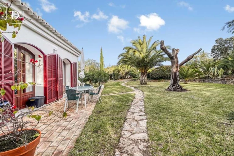 Negócio para Venda em Faro (Sé e São Pedro) Foto 27