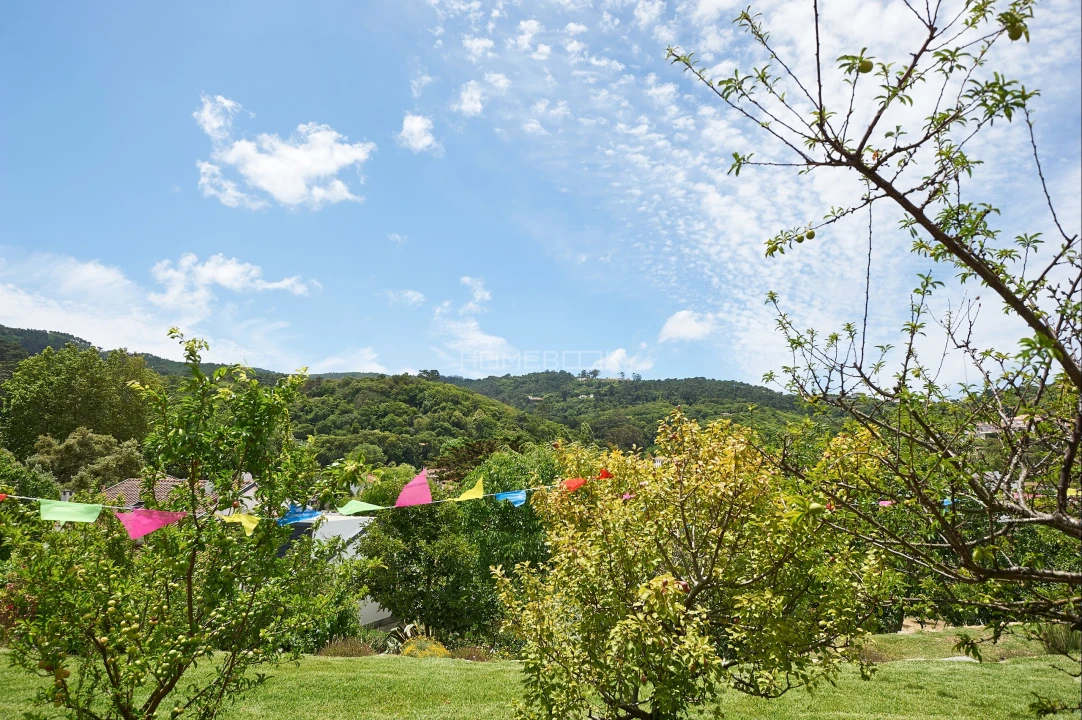 Moradia T2 para Arrendamento em Colares Foto 19