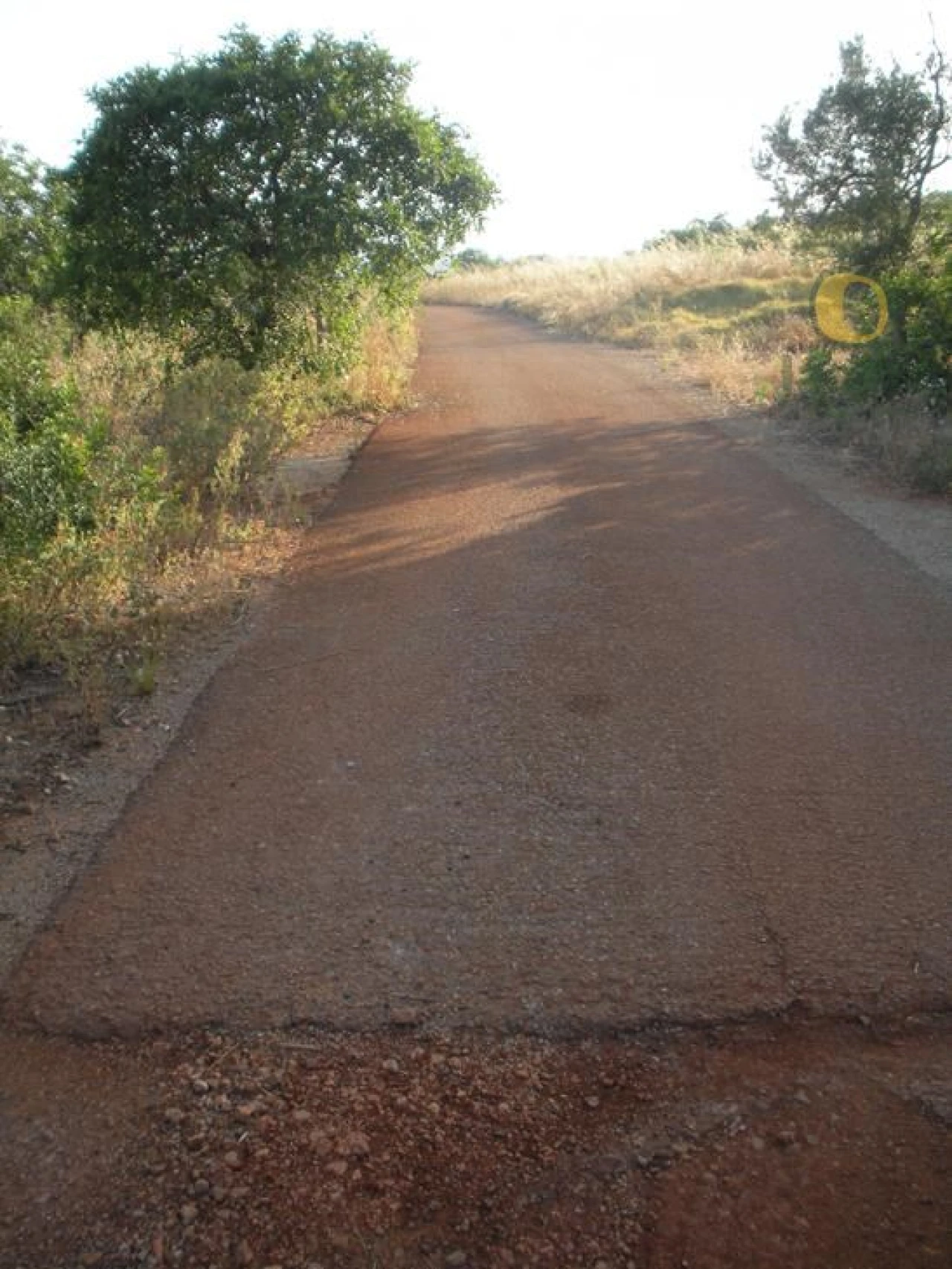 Terreno Agricola ou Rústico para Venda em Alte Foto 2