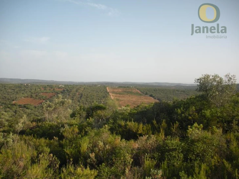 Terreno Agricola ou Rústico para Venda em Alte Foto 1