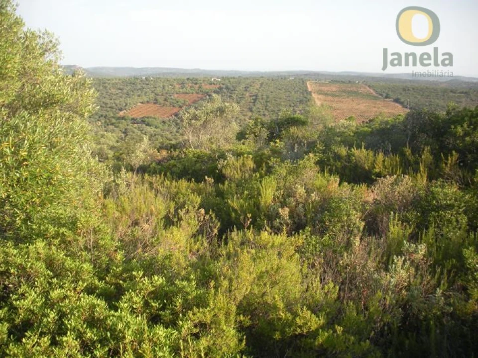 Terreno Agricola ou Rústico para Venda em Alte Foto 4