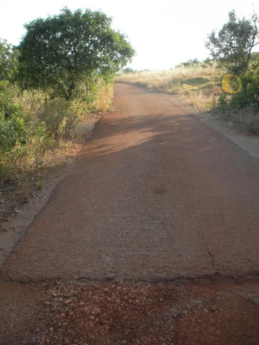 Terreno Agricola ou Rústico para Venda em Alte Foto 2