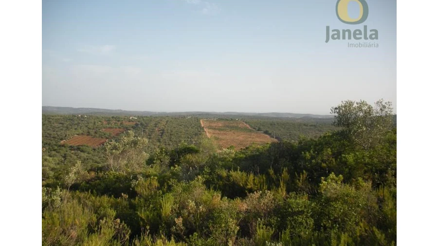 Terreno Agricola ou Rústico para Venda em Alte