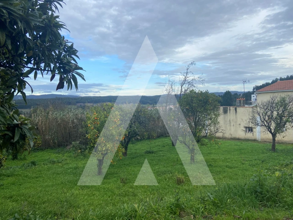 Terreno para Venda em Moita Foto 3