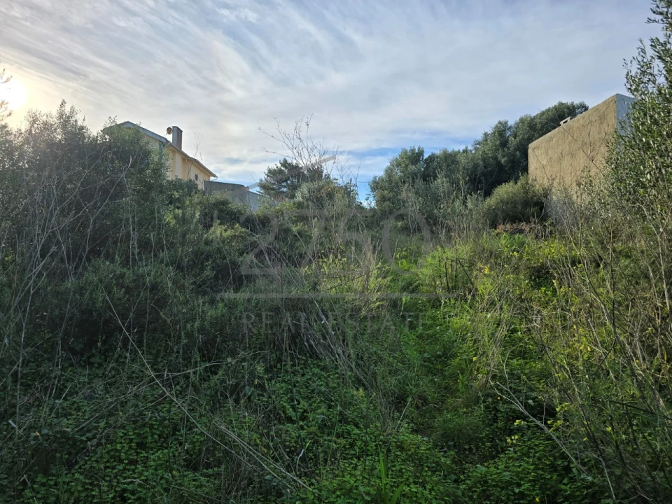 Terreno para Venda em Cascais e Estoril Foto 8