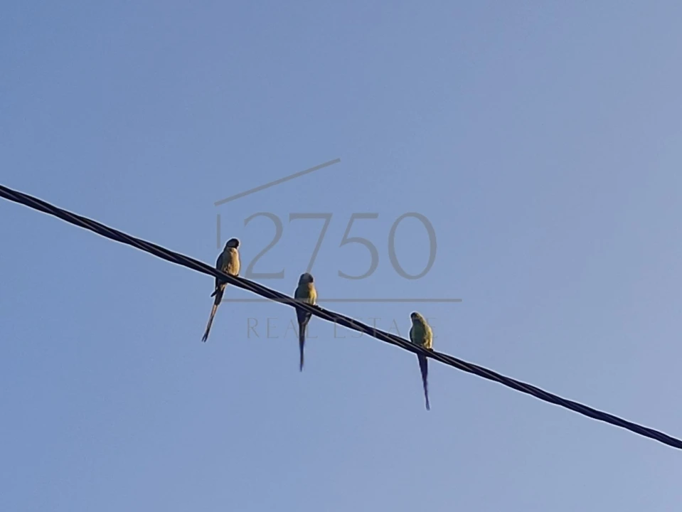 Terreno para Venda em Cascais e Estoril Foto 19