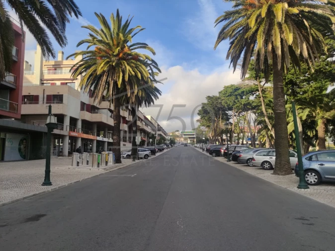 Terreno para Venda em Cascais e Estoril Foto 12