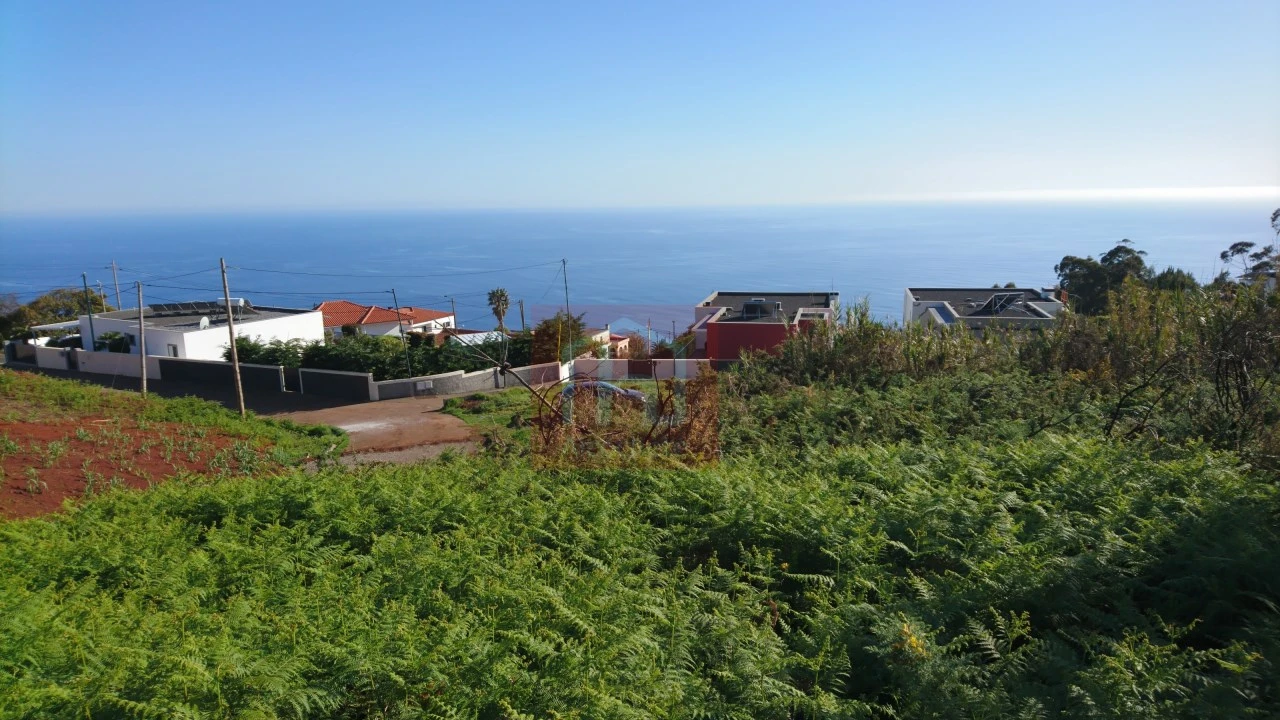 Terreno para Venda em Prazeres Foto 4