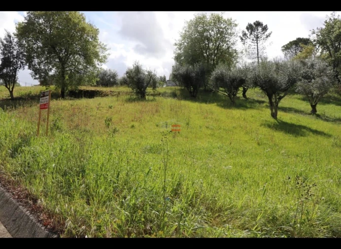 Terreno Misto para Venda em Nossa Senhora da Piedade Foto 2