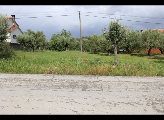 Terreno Misto para Venda em Nossa Senhora da Piedade Foto 4