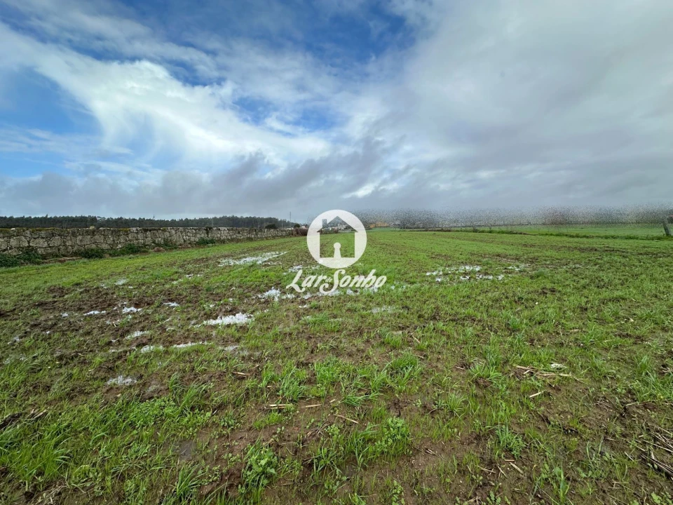 Terreno para Venda em Gião Foto 4