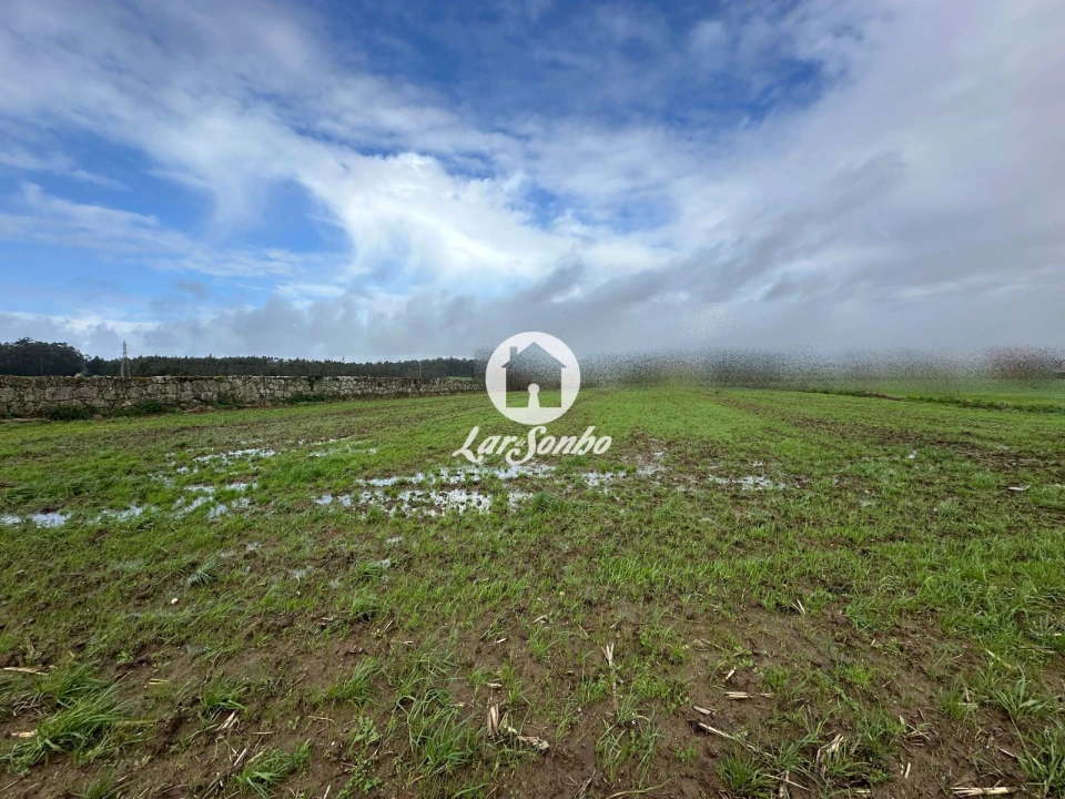 Terreno para Venda em Gião Foto 7