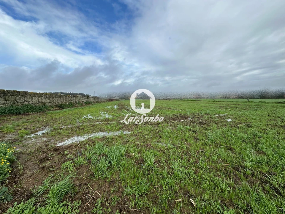 Terreno para Venda em Gião Foto 10