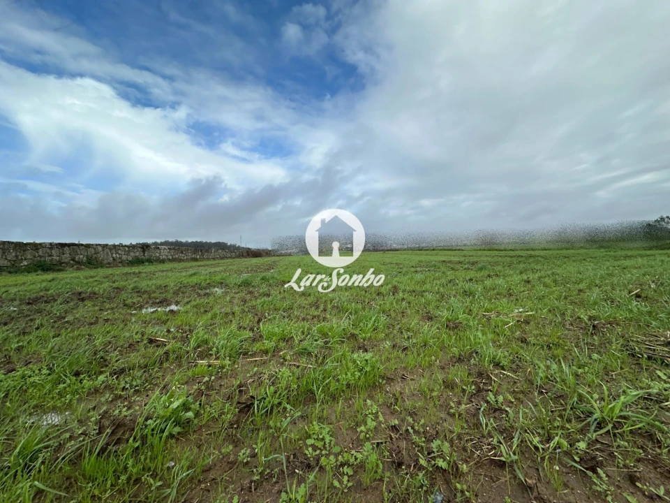 Terreno para Venda em Gião Foto 12