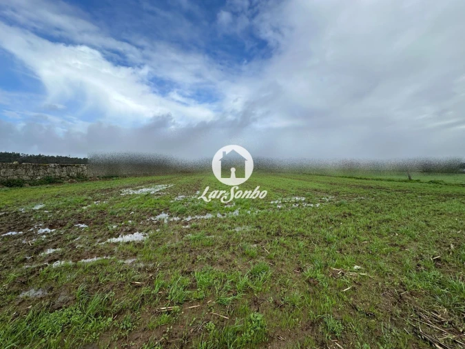 Terreno para Venda em Gião Foto 6