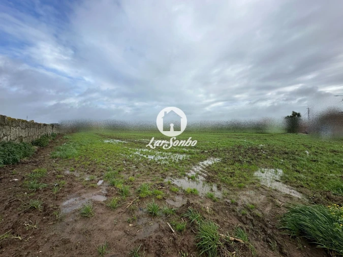 Terreno para Venda em Gião Foto 9