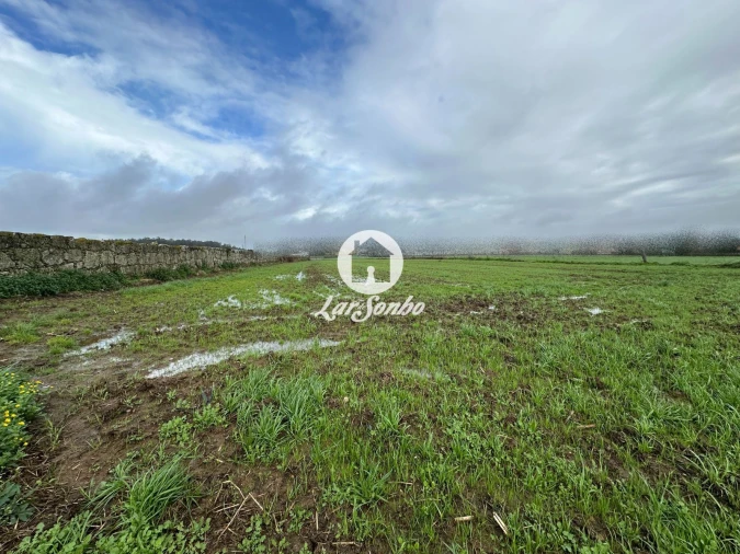 Terreno para Venda em Gião Foto 10