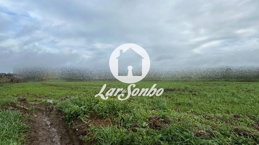 Terreno para Venda em Gião