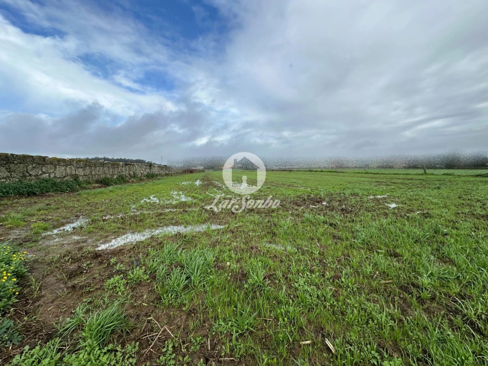 Terreno para Venda em Gião Foto 10
