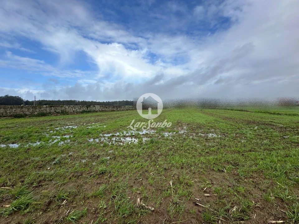 Terreno para Venda em Gião Foto 14