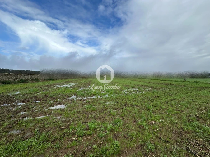 Terreno para Venda em Gião Foto 6