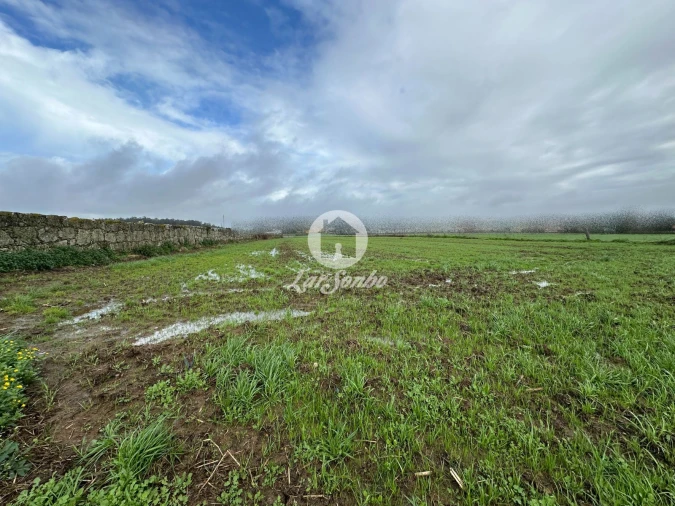 Terreno para Venda em Gião Foto 10