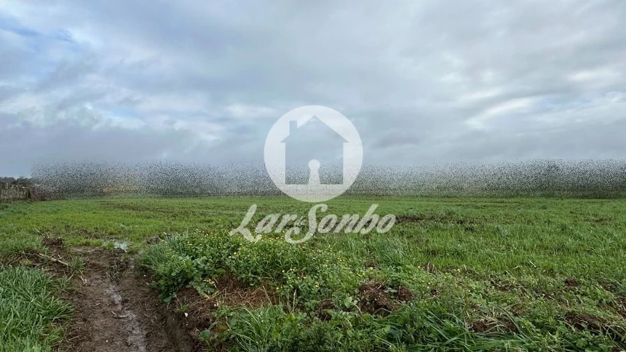 Terreno para Venda em Gião