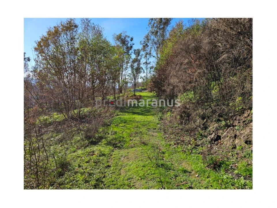 Terreno P/ Prédio para Venda em Mancelos Foto 13