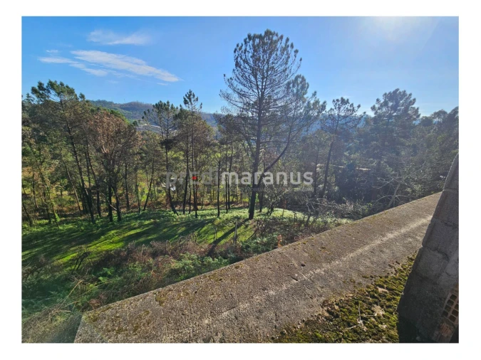 Terreno P/ Prédio para Venda em Mancelos Foto 8