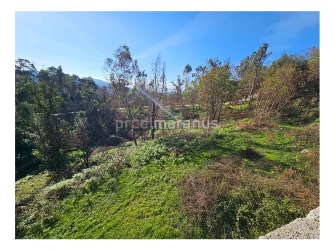 Terreno P/ Prédio para Venda em Mancelos Foto 10