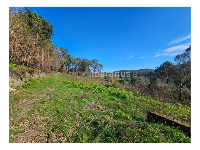 Terreno P/ Prédio para Venda em Mancelos Foto 12