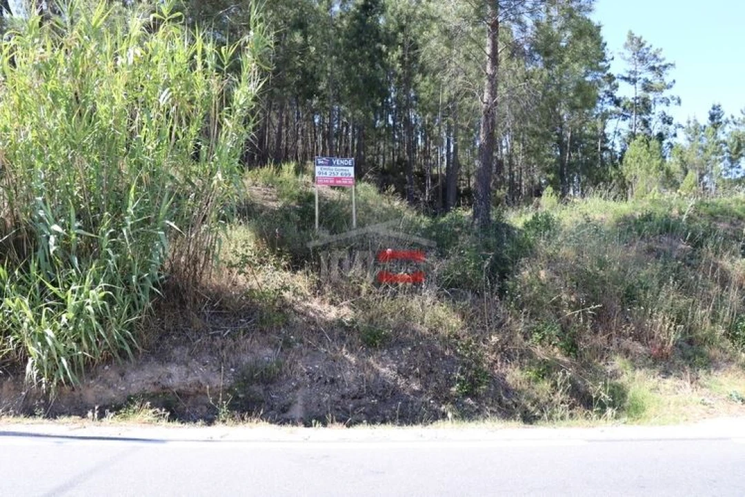 Terreno Misto para Venda em Alburitel Foto 4
