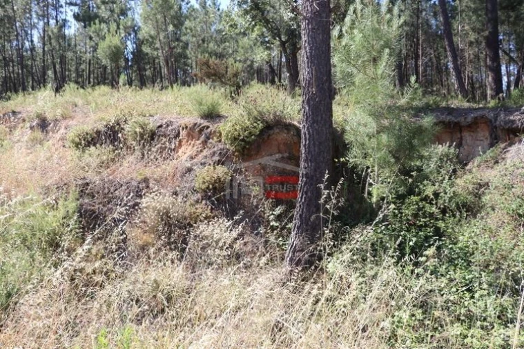 Terreno Misto para Venda em Alburitel Foto 3