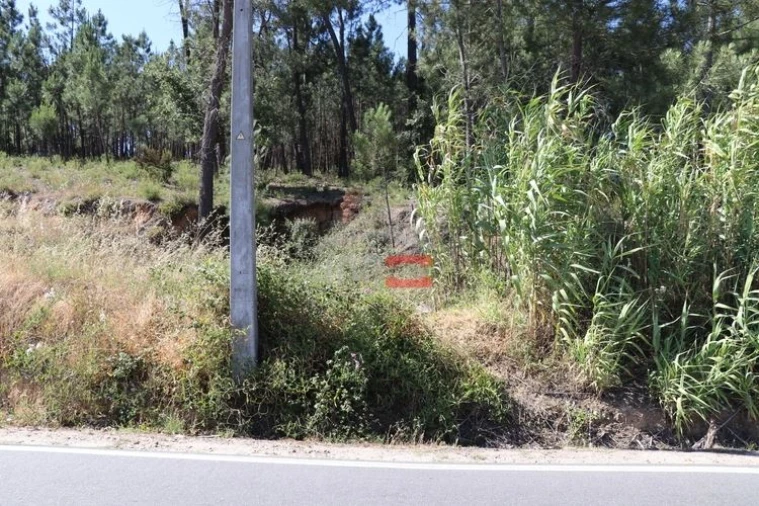 Terreno Misto para Venda em Alburitel Foto 5