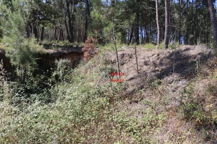 Terreno Misto para Venda em Alburitel Foto 10
