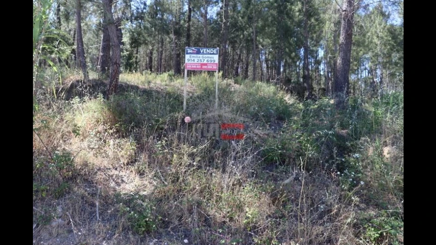 Terreno Misto para Venda em Alburitel