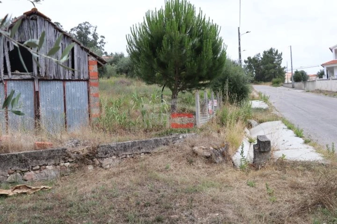 Terreno Misto para Venda em Caxarias Foto 12