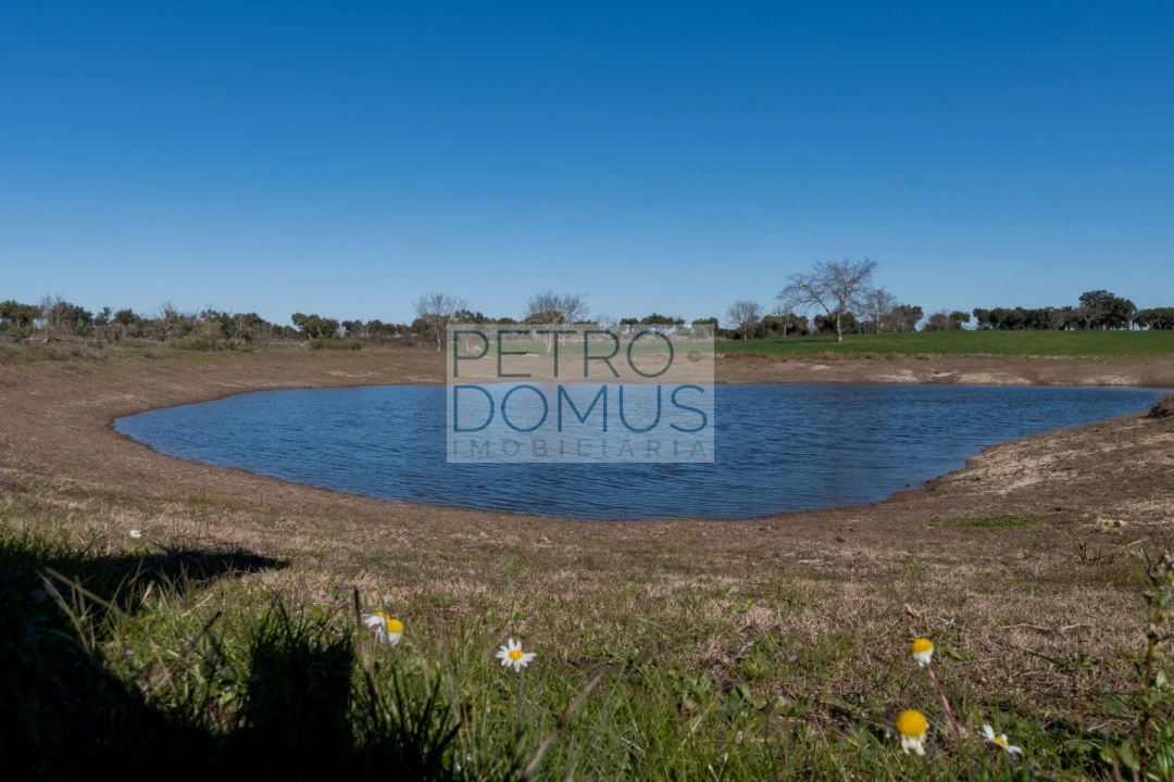 Quinta T5 para Venda em Tolosa Foto 108