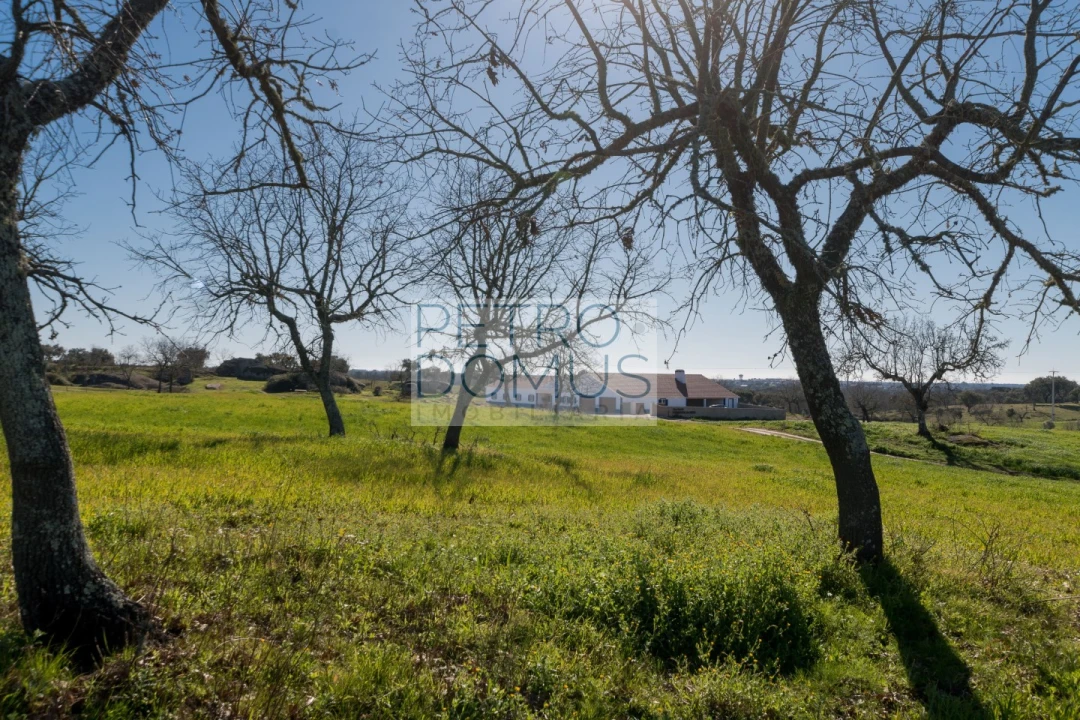 Quinta T5 para Venda em Tolosa Foto 112