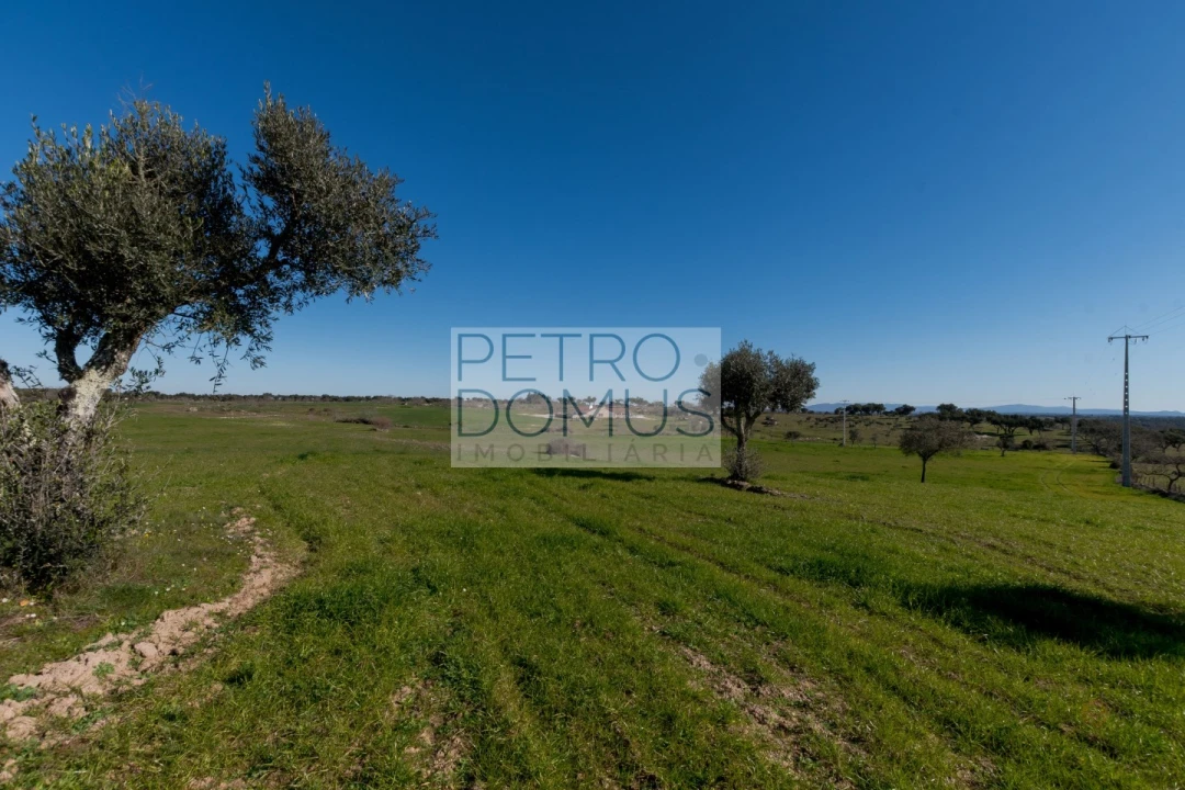 Quinta T5 para Venda em Tolosa Foto 113