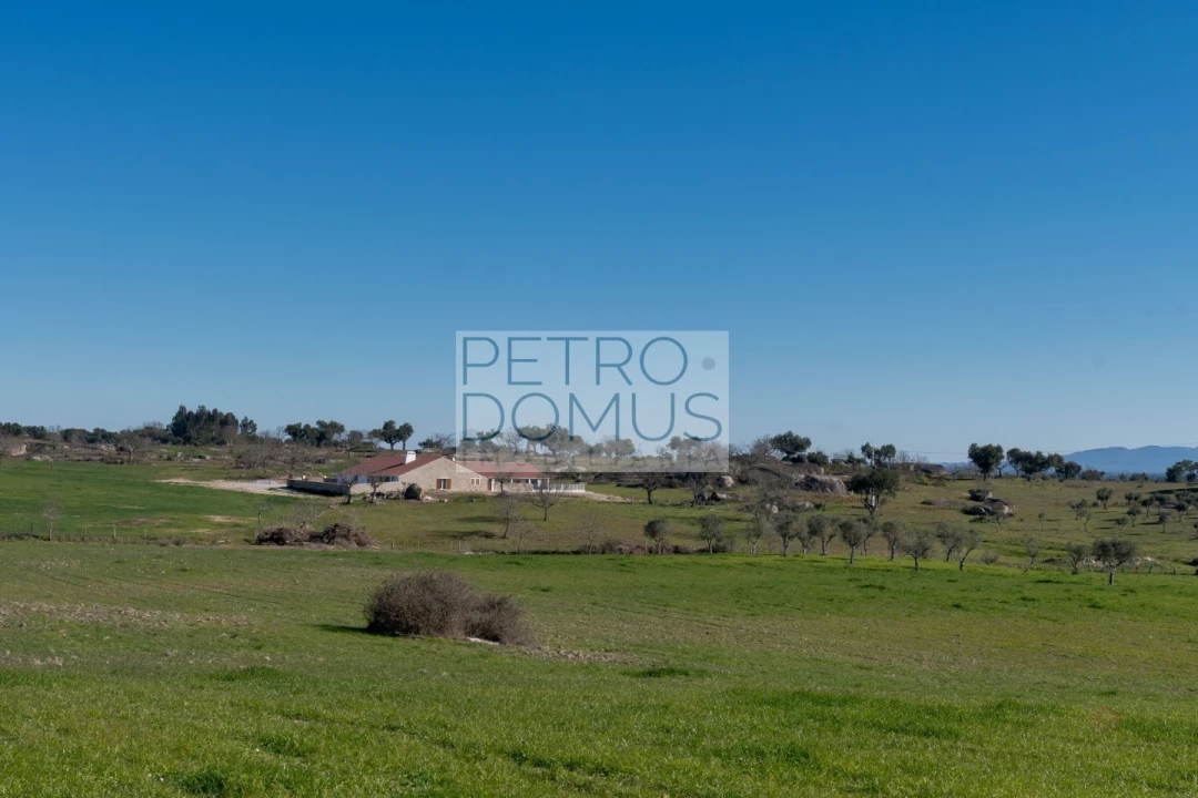 Quinta T5 para Venda em Tolosa Foto 118