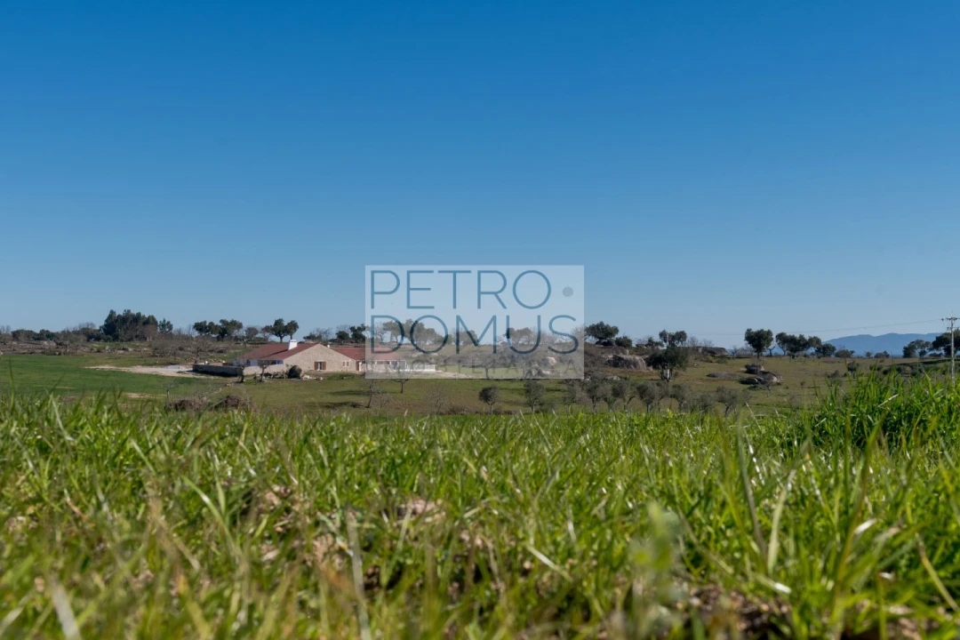 Quinta T5 para Venda em Tolosa Foto 119