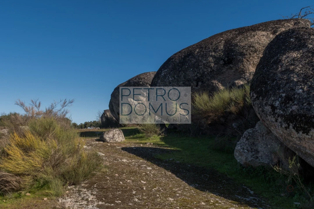 Quinta T5 para Venda em Tolosa Foto 124