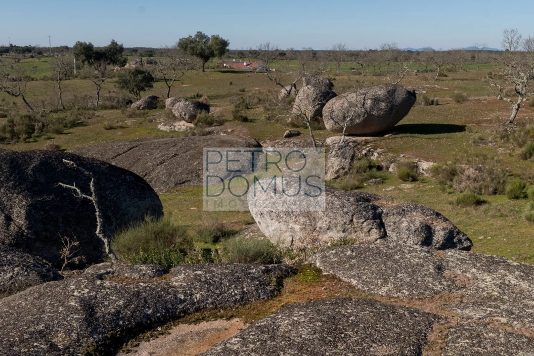 Quinta T5 para Venda em Tolosa Foto 132
